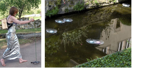 C. Oppermann >    'Ich bringe die tote Forelle zur Quelle', Performance, 2010/    'Pollenflug', Installation, Detail, 2010/